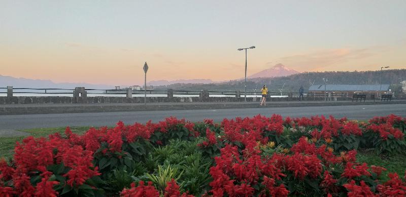 Hotel Suenos Del Volcan Вильяррика Экстерьер фото
